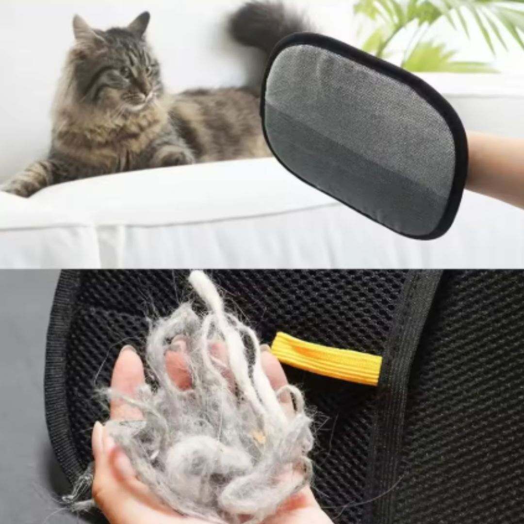 כפפת הסרת שיער סטטיות לחיות מחמד