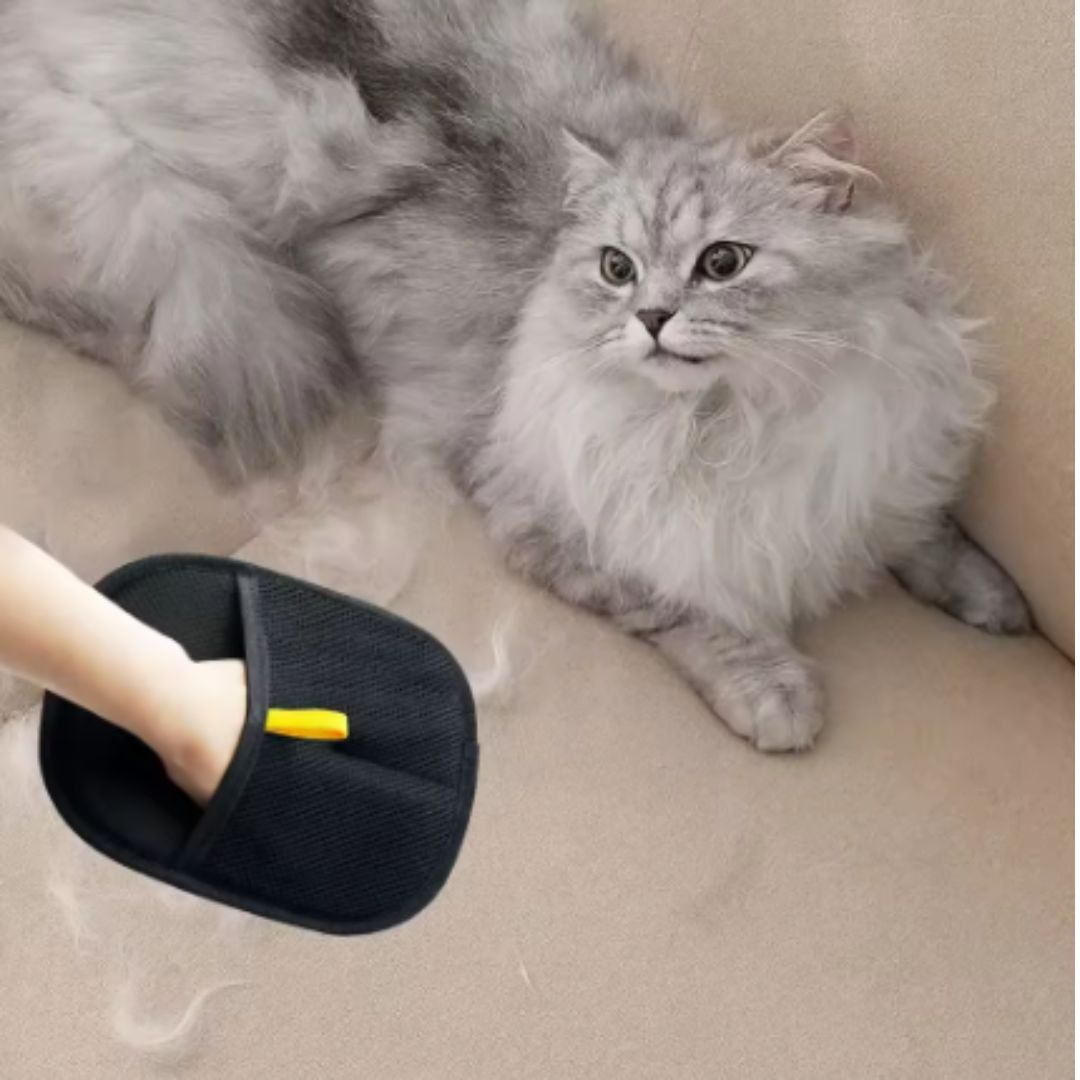 כפפת הסרת שיער סטטיות לחיות מחמד